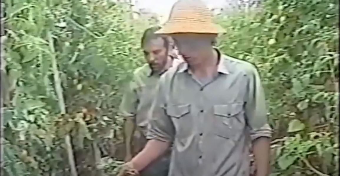 FAE & Cooperativa Coolméia no Globo Rural de 1996