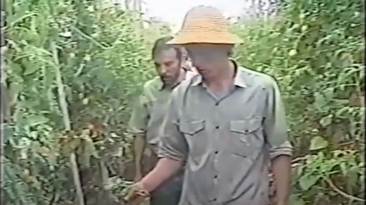 FAE & Cooperativa Coolméia no Globo Rural de 1996