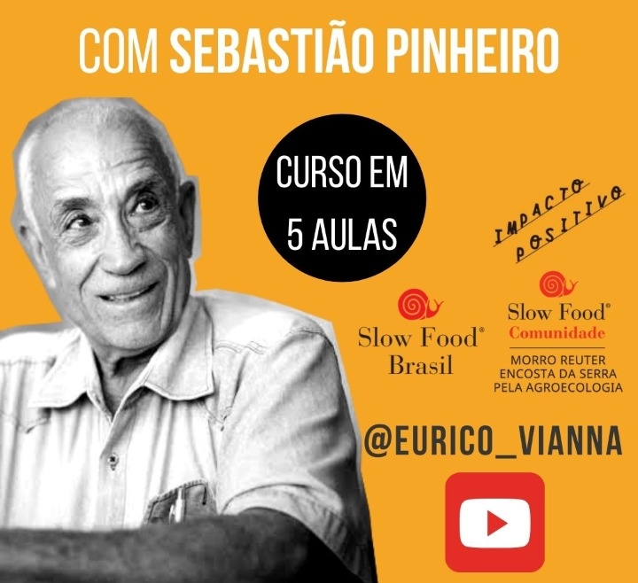 SOLO SADIO, PLANTA SÃ, COMIDA SAUDÁVEL, NOOESFERA – Curso do Sebastião Pinheiro